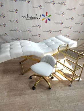 Анатомічна кушетка + візок + стілець для майстра Комплект "GOLD" 3-в-1 меблі для нарощування вій